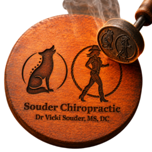 Souder Logo